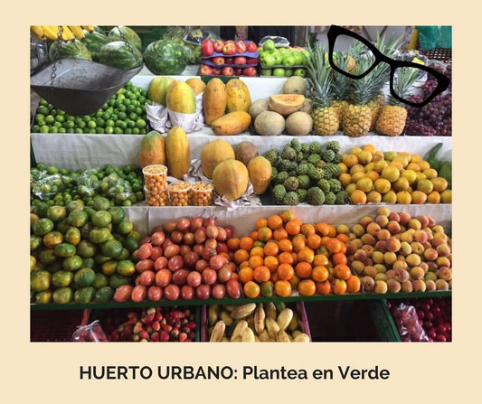 ¿Por qué está de moda el huerto urbano?