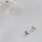 Pendientes LUZ Plata