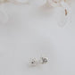 Pendientes LUZ Plata